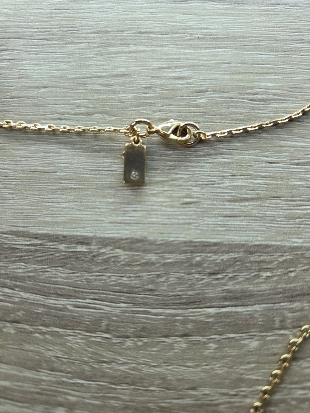 Kate Spade Gold Fringe Necklace - Picture 3 of 4